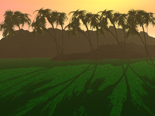 9207 (a): :1024x768